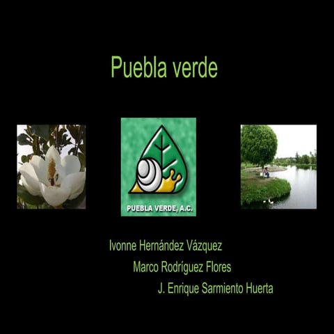 Puebla verde