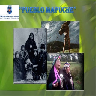 Pueblo mapuche