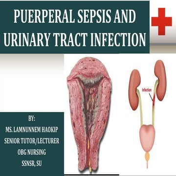 PUERPERAL SEPSIS & UTI.ppt