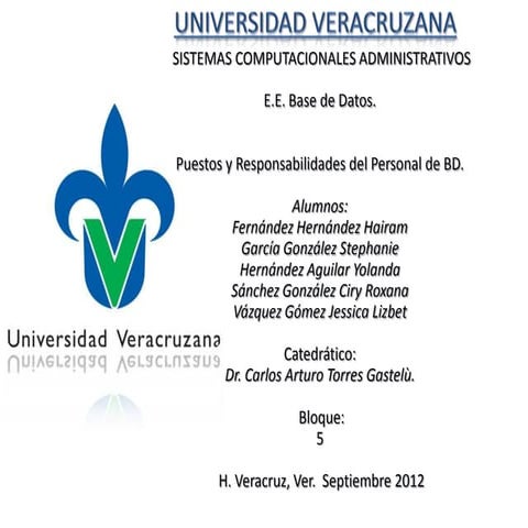 Puestos y responsabilidades del personal de base de datos