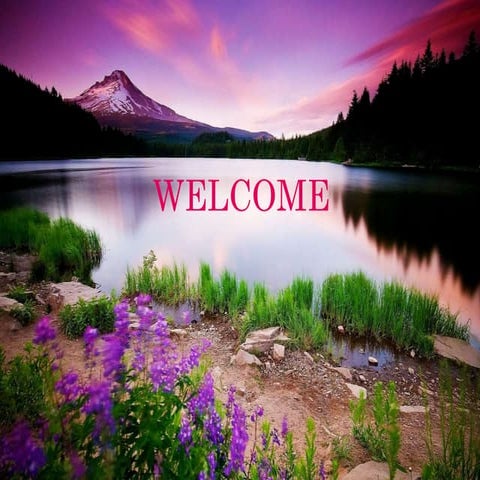 Lactobacilli- Homo and Hetero lactic acid Fermentation and its nutritive value 