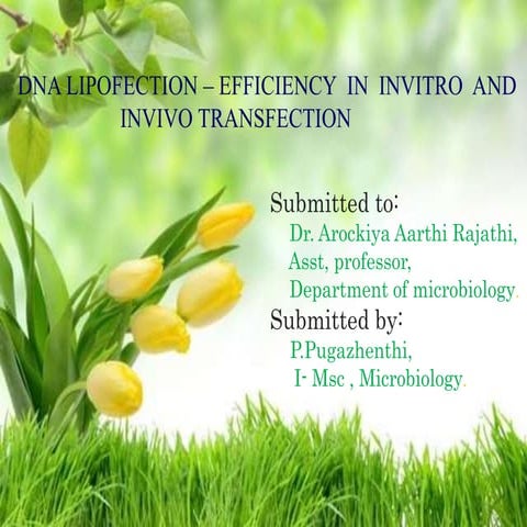 DNA lipofection - Efficiency in invitro and invivo transfection