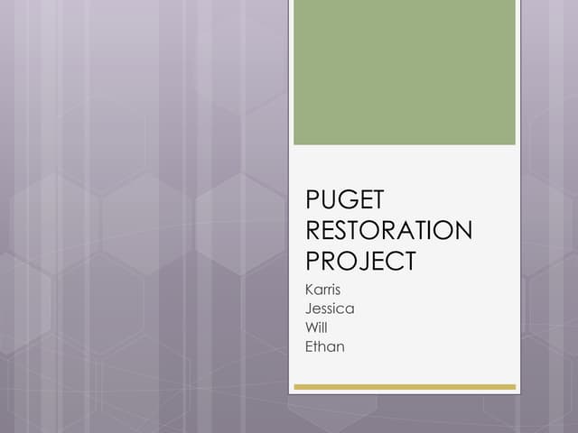 Puget