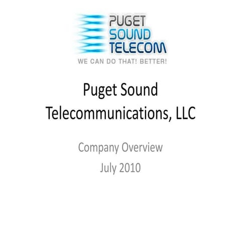 Company Snapshot | PDF