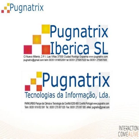 Pugnatrix Iberica, SL - Tecnologias da Informaçao | PDF