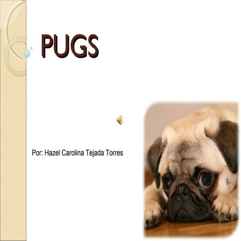 pug raza de perro monografia.docx
