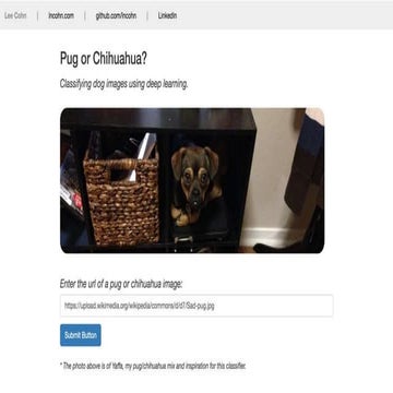 Pug vs Chihuahua SlideShare | PPTX