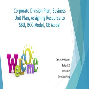 Corporate Division Plan, Business Unit Plan, Assigning Resource to SBU, BCG M...