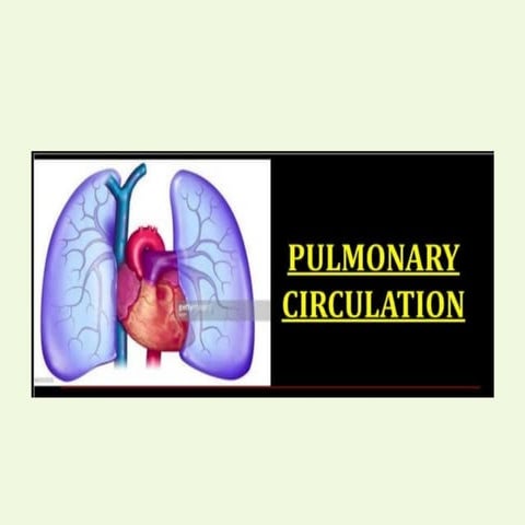 pul circulation.pptxdfghjkl;vbnm,.bnm,.nm,