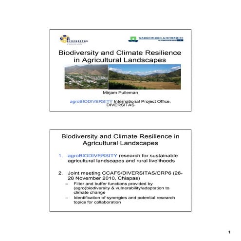 Pulleman - Biodiversity and climate resilience