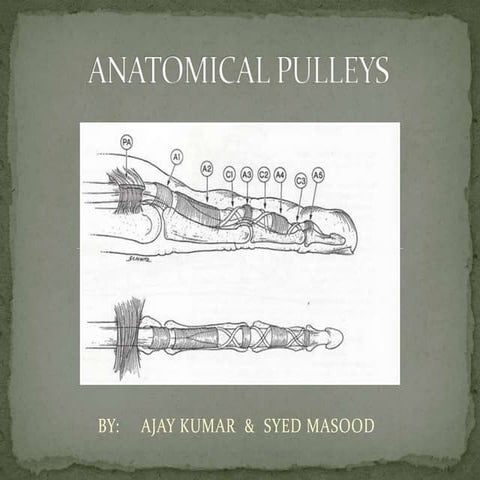 PULLEYS OF HAND. PPT..pptx