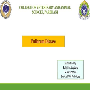 Pullorum Disease.