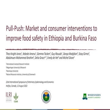 Pull-Push: Market and consumer interventions to improve food safety in Ethiop...