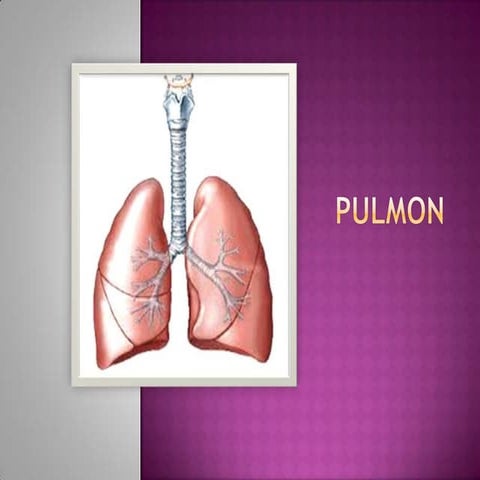 Anatomía de Pulmones | PPTX