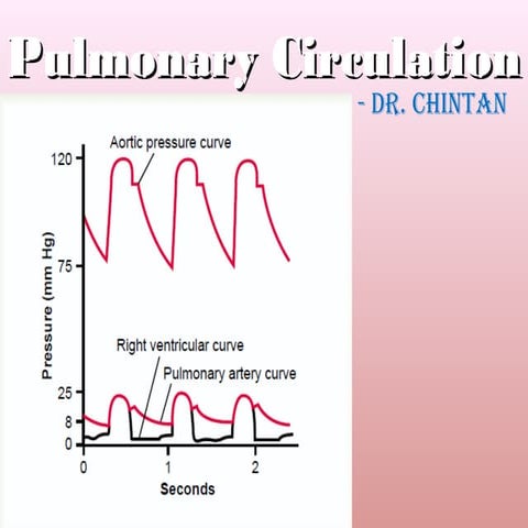 Pulmonary circulation
