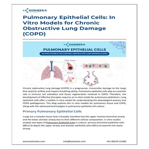 In Vitro Pulmonary Epithelial Cell Models for COPD Research and ...