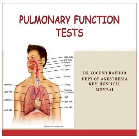 Pulmonary function test