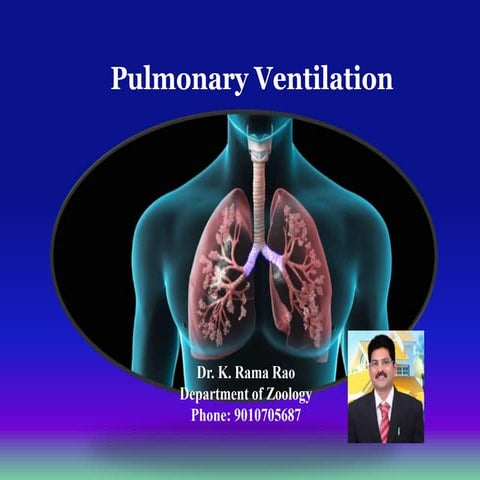 Pulmonary ventilation