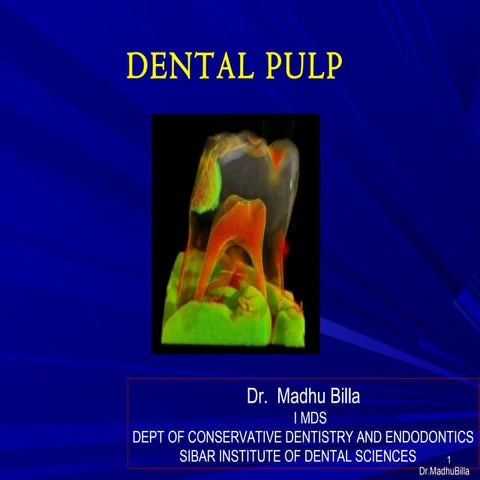 Dental Pulp