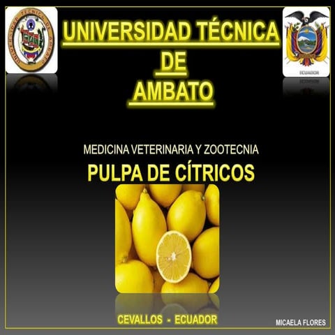 Pulpa de citricos modificado