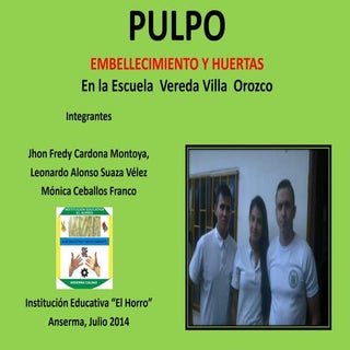 Pulpo Clei 6 - Embellecimiento y hu...