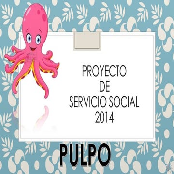 Pulpo CLEI 6 - proyecto de servicio social 2014