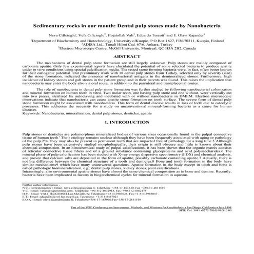Pulp stones formation pdf | PDF