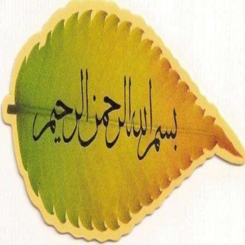 Pulse crops, Chickpeas, Mungbean, Mashbean..ppt