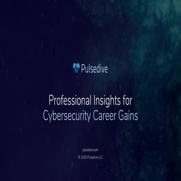 Preparing for a New Career in Cyber - Pulsedive