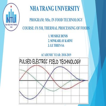 Pulse electric field processing technology
