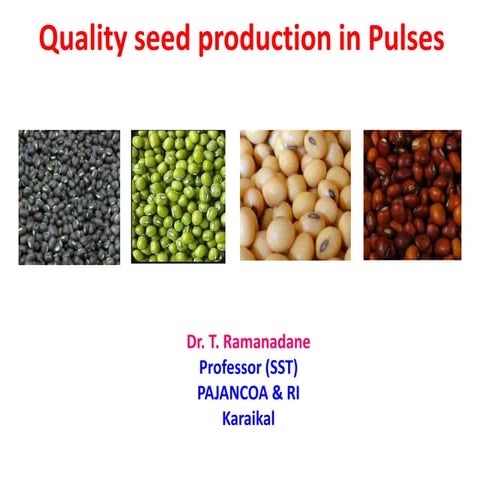 Quality Seed Production in Pulses