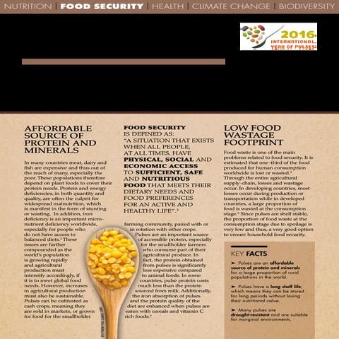 Pulses and food security