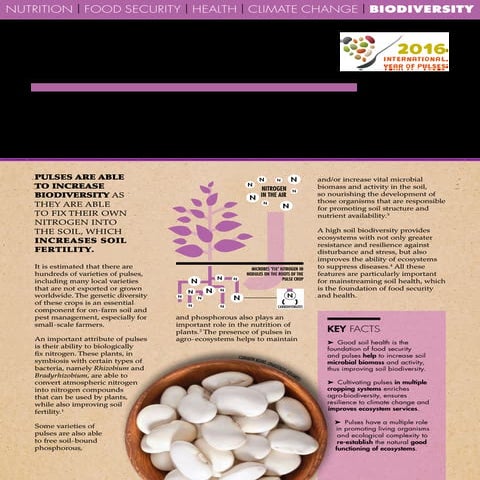 Pulses and biodiversity