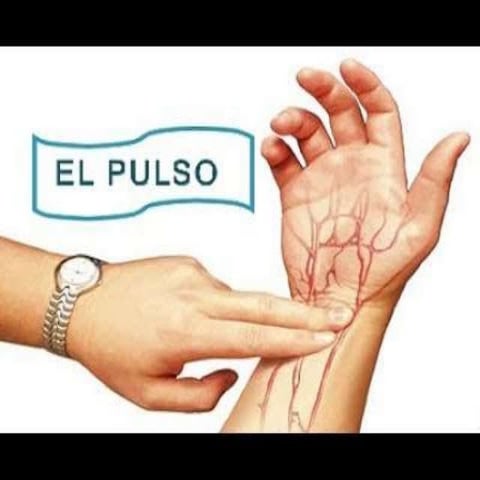 Infografia actividad | PDF