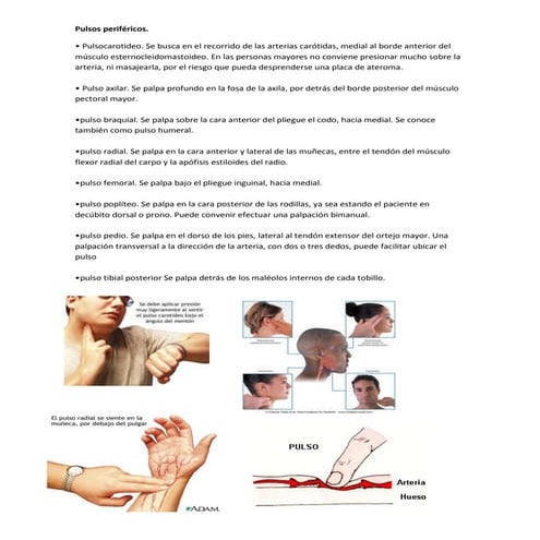 Pulsos periféricos