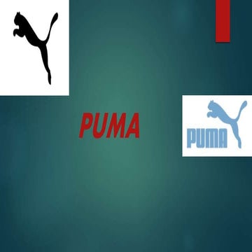 Puma India Analysis