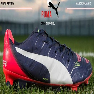 Puma  finalreview
