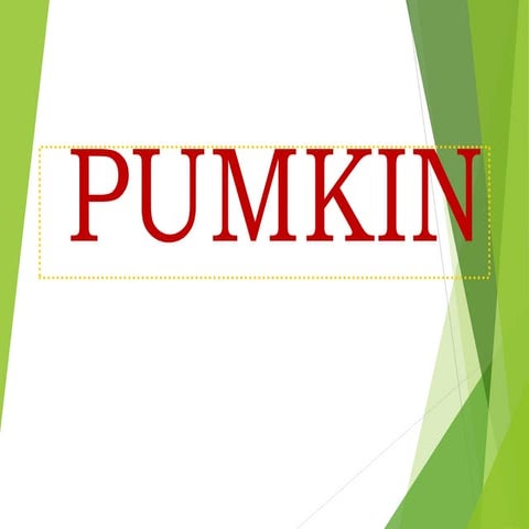 Pumpkin   