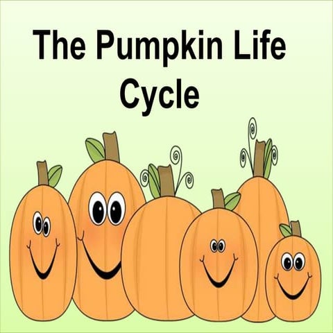 The Life Cycle of a Pumpkin 