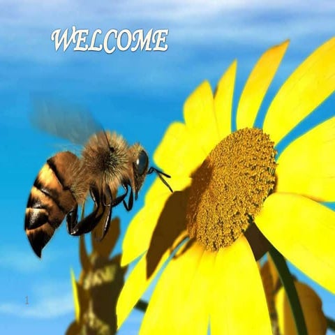 overview of honey marketing in india