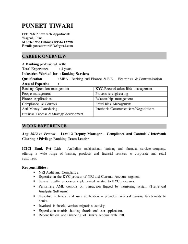 Puneet Resume
