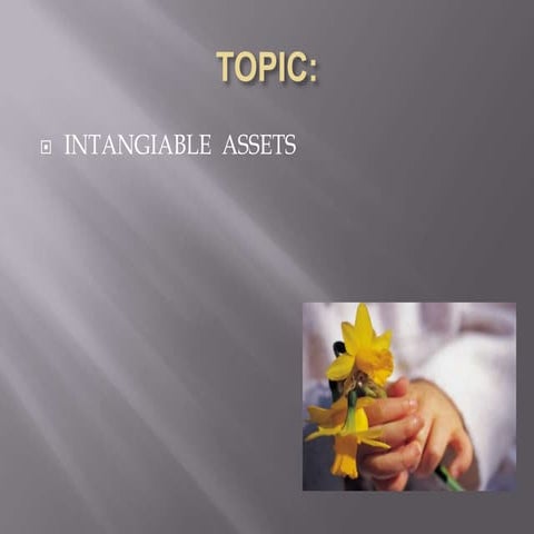 assets  intangible assets cannot touch n feelch.