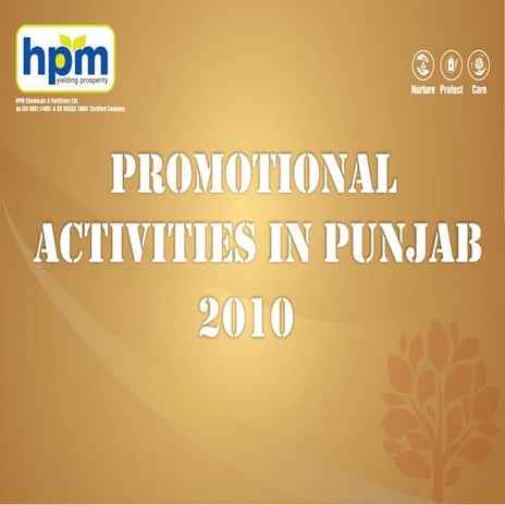 Punjab activity