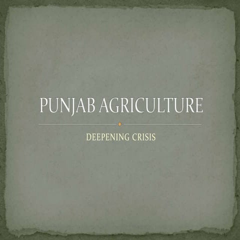 Punjab agriculture