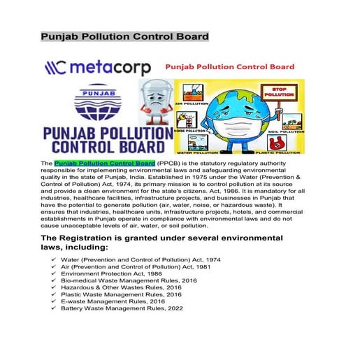 pollution control board license | Metacorp | PDF