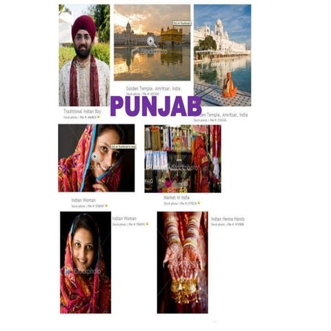 Punjab : a state presentation
