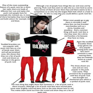 Punk rock audience profile (word)