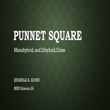 PunnetSquare ppt genetics for better understanding