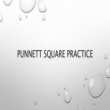 Punnett square practice seeds