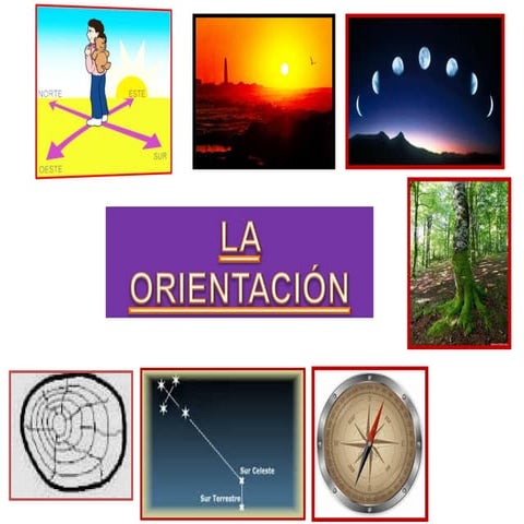 Puntos cardinales - Orientación